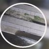 Las imágenes que demuestran que una década después vuelven las nutrias al Manzanares
