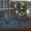 PP y CEOE coinciden en rebajar las cifras de absentismo laboral de España