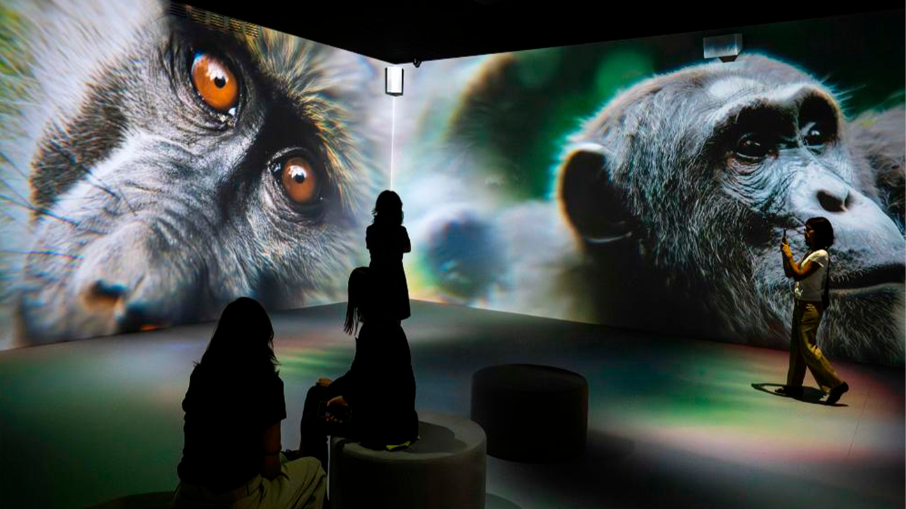 'Somos naturaleza', una exposición inmersiva en CaixaForum
