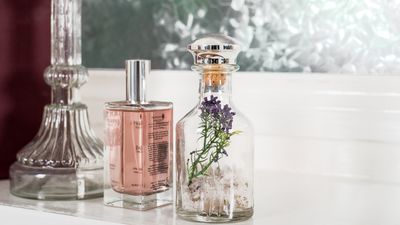 Los perfumes que marcan tendencia en 2026: una guía sin atajos