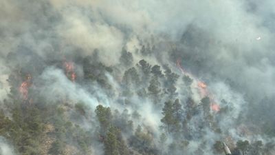 Murcia pide la intervención de la UME por un incendio forestal que ha obligado a desalojar varias viviendas
