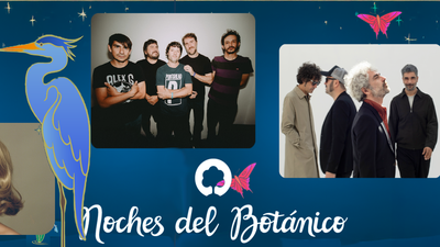 Comienzan Las Noches del Botánico