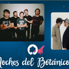 Comienzan Las Noches del Botánico