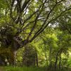 España entra este jueves en 'déficit ecológico' al haber consumido todos los recursos naturales del año