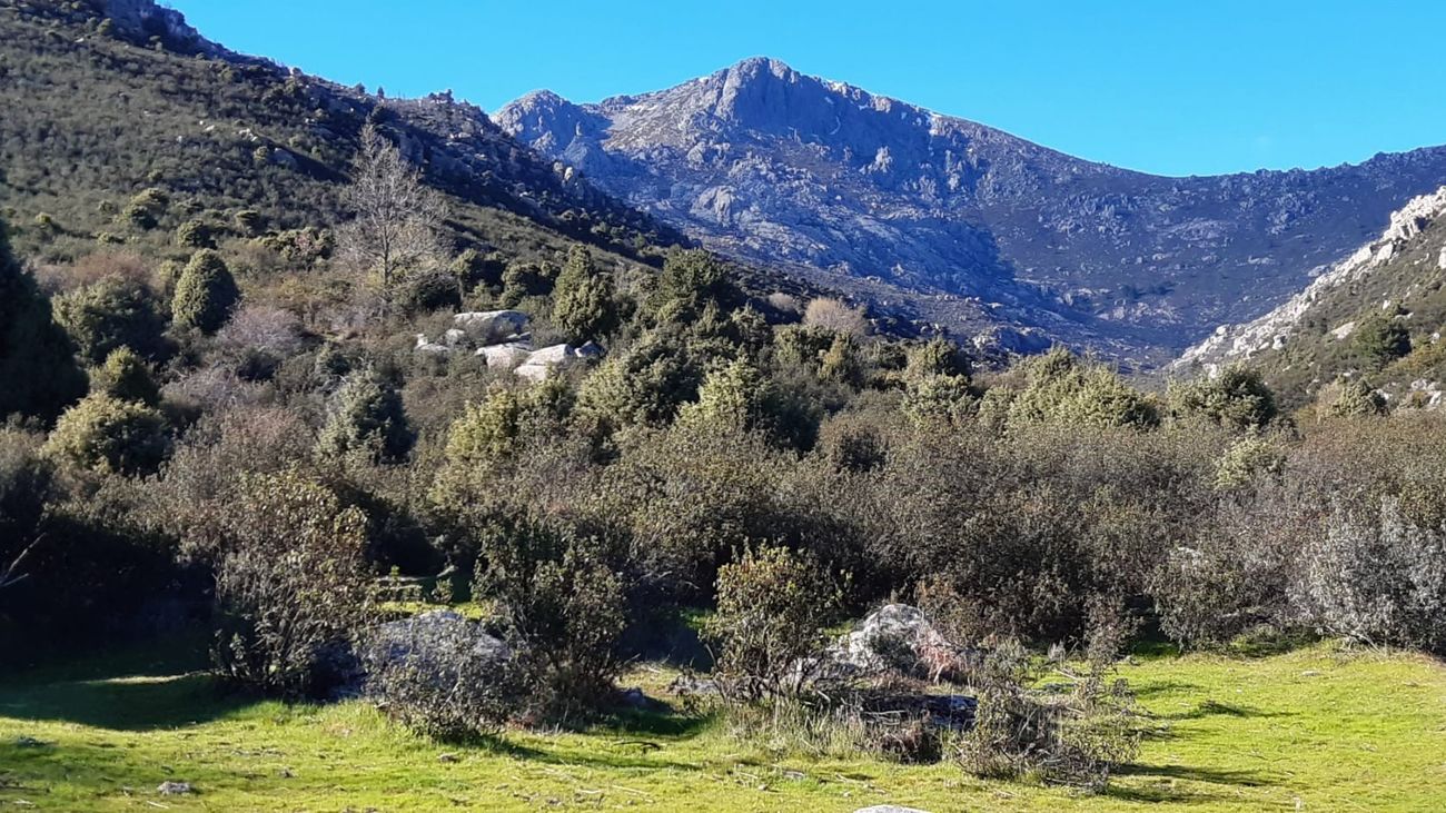 Vista de La Maliciosa desde las praderas de Mataelpino