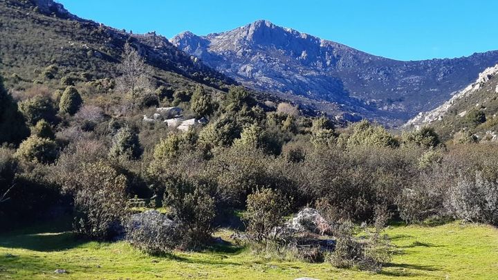 Regresa la Feria de Medio Ambiente de Mataelpino tras dos años de ausencia