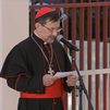 "Hoy usted entra en la Iglesia de Madrid por una puerta singular", José Cobo da la bienvenida a León XIV