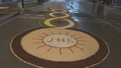 Más de 30.000 claveles convierten la calle Alcalá en una alfombra floral
