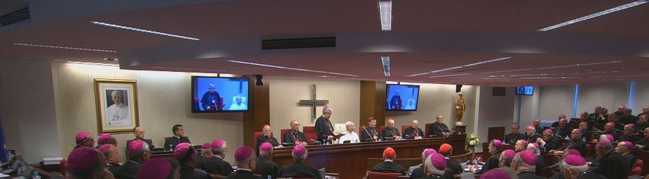 El Papa con los obispos
