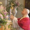 El papa León XIV entrega la Rosa de Oro a la Virgen de la Almudena