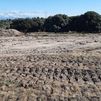 Denuncian una "grave crisis ambiental" en el norte de Alcorcón