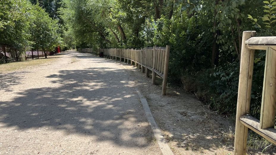 Alcalá aprueba el proyecto de recuperación del arroyo Camarmilla con más de 6.000 plantaciones