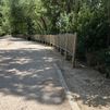 Alcalá aprueba el proyecto de recuperación del arroyo Camarmilla con más de 6.000 plantaciones