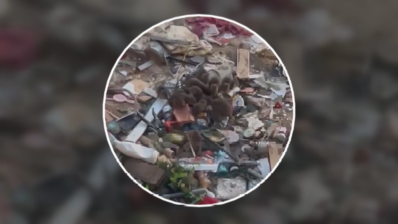Basura y ratas tras el desalojo de asentamientos en el Parque Rodríguez Sahagún en Tetuán