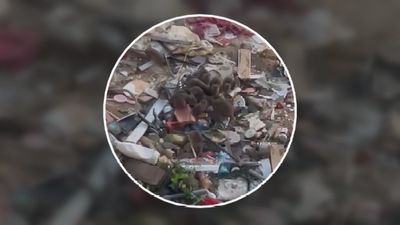 Basura y ratas tras el desalojo de asentamientos en el Parque Rodríguez Sahagún en Tetuán