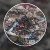 Basura y ratas tras el desalojo de asentamientos en el Parque Rodríguez Sahagún en Tetuán