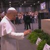 Las 17 iglesias nuevas de Madrid bendecidas por el papa León XIV
