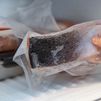 Los envases transfieren aditivos plásticos al pescado guardado en la nevera o el congelador