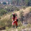 Bombero forestal