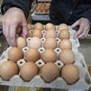 Lo huevos, uno de los alimentos que más se encarecieron