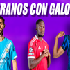 El Real Madrid apuesta por la experiencia para la próxima temporada.