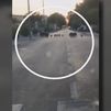 Preocupación entre los vecinos de Arroyomolinos por la presencia de jabalíes