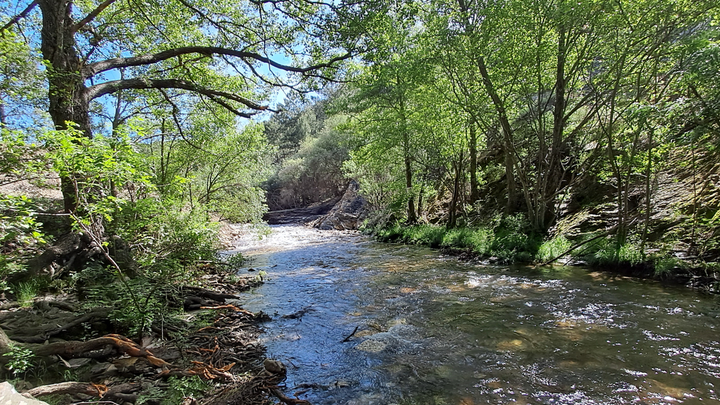 Demolida una presa en la Sierra Norte de Madrid por riesgo de derrumbe
