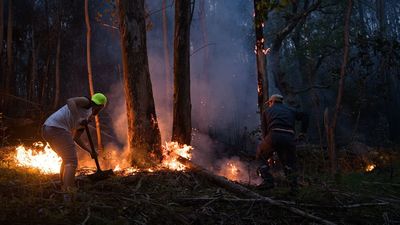 Comienza la época de alto riesgo de incendios forestales: prohibiciones y medidas de prevención que debes tener en cuenta