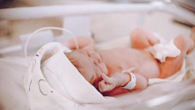 Baja un 2% la estimación de nacimientos en abril en Madrid