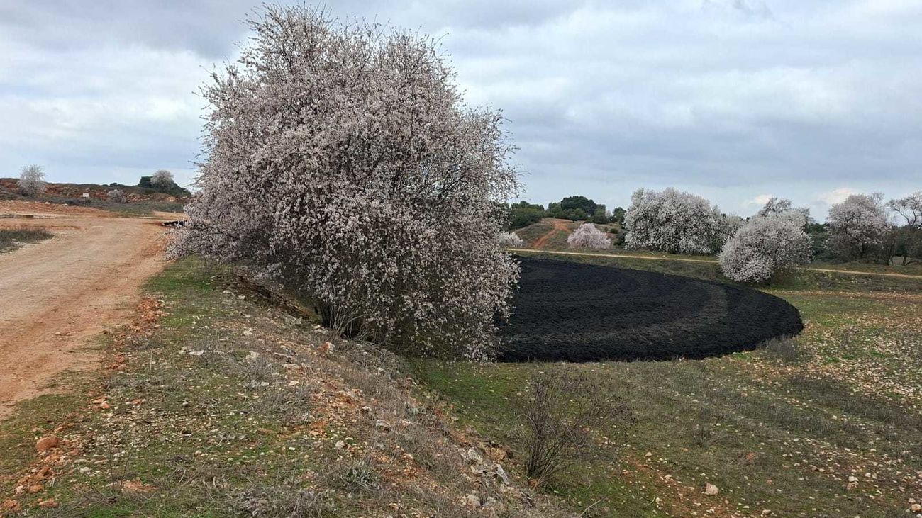 Vertido de lodos en un entorno natural de Campo Real