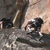 San Martín de Valdeiglesias estrena la primera vía ferrata de la Comunidad de Madrid