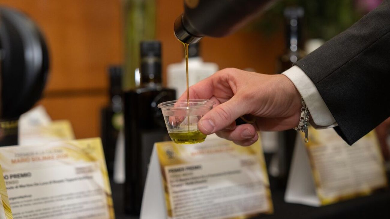 Los Premios Mario Solinas 2026 premian los mejores aceites de oliva virgen extra del mundo