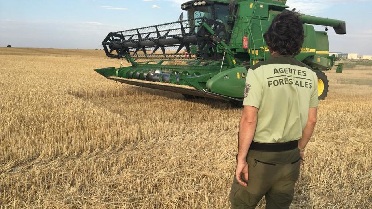 Agente forestal de la Comunidad de Madrid junto a una cosechadora en un campo de cereal