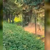 Un toro de lidia siembra el pánico a unos bañistas en Collado Villalba y deja dos heridos