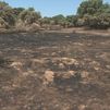 La Comunidad de Madrid destina 53 millones de euros en la lucha y  prevención de incendios forestales