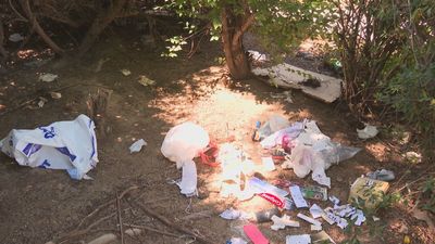 Suciedad, drogas y peleas: los vecinos de San Blas denuncian el infierno que viven en el parque Paraíso