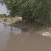 Fugas de agua en el Cerro del Castañar de Leganés provocan inundaciones, daños en viviendas y malestar vecinal