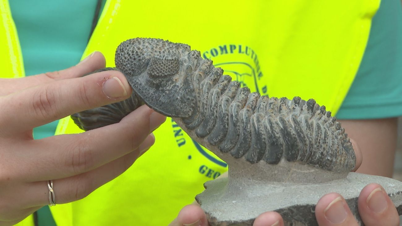Cuando la Sierra Norte de Madrid era el fondo de un mar poblado por trilobites