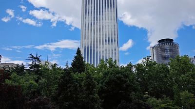 Piden no talar los árboles de AZCA en el proyecto de reforma del Ayuntamiento de Madrid