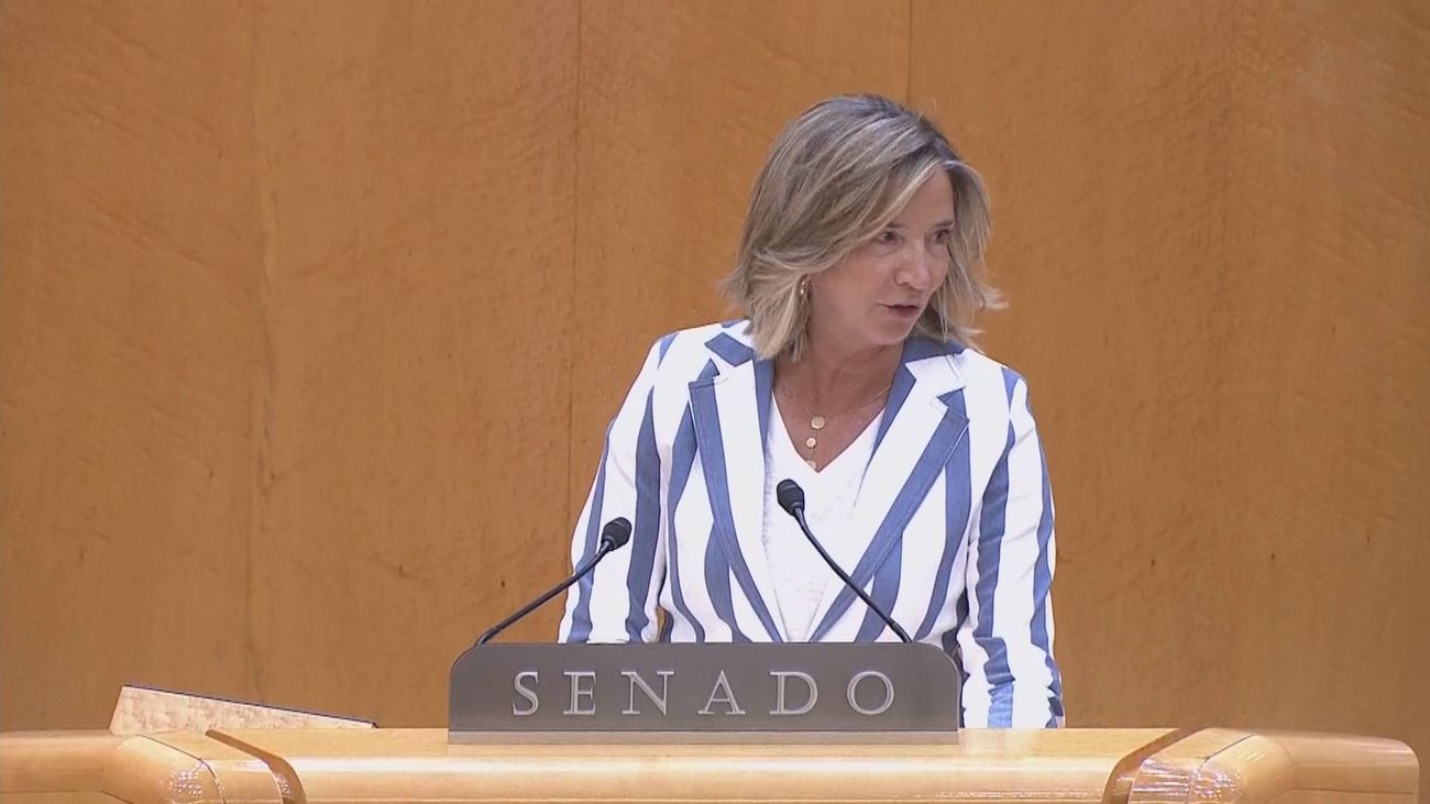 El Senado insta a Sánchez a convocar elecciones por los casos de corrupción