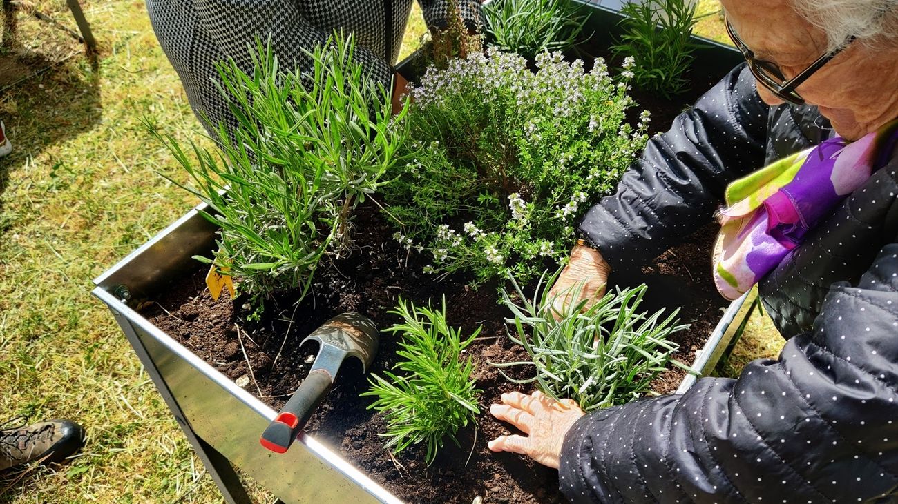 La Comunidad de Madrid organiza más de 200 actividades medioambientales gratuitas este verano para descubrir y conservar la biodiversidad