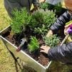 La Comunidad de Madrid organiza más de 200 actividades medioambientales gratuitas este verano para descubrir y conservar la biodiversidad
