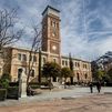 Cibeles da hasta el 1 de septiembre a Casa Árabe para salir de Escuelas Aguirre