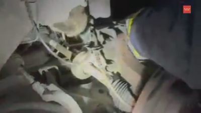 Rescate de un gato en Valdemoro