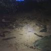 Un muerto y dos heridos en un accidente de tráfico en la M-506 en San Martín de la Vega