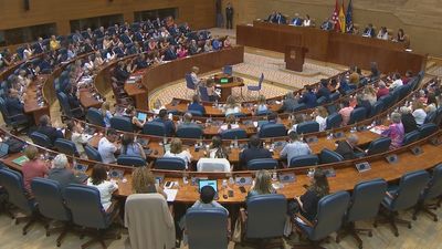 La Asamblea de Madrid aprueba la ley que reconoce el concebido no nacido como miembro familiar