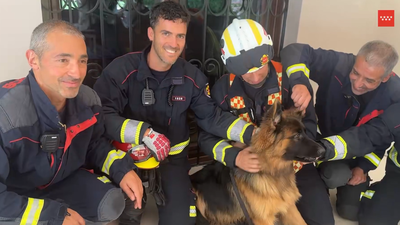 Bomberos consiguen liberar un cachorro de pastor alemán atrapado, en Majadahonda