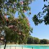Ciempozuelos abre finalmente la piscina de verano tras apartar a la concesionaria