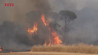 Avanza sin control el incendio en  Les Gavarres (Gerona) que podría arrasar 30.000 hectáreas