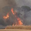 Avanza sin control el incendio en  Les Gavarres (Gerona) que podría arrasar 30.000 hectáreas
